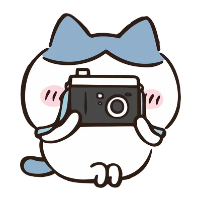 Hachiware sitting and holding a camera Chiikawa PNG Image