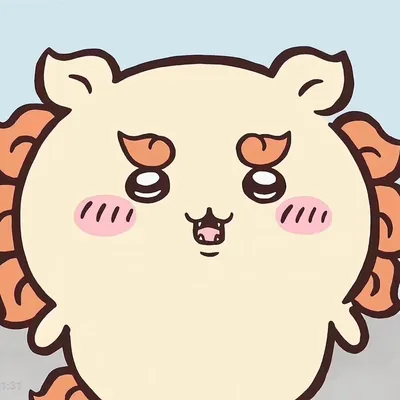 臉頰泛紅且眼神充滿期待的可愛獅薩吉伊卡哇頭像