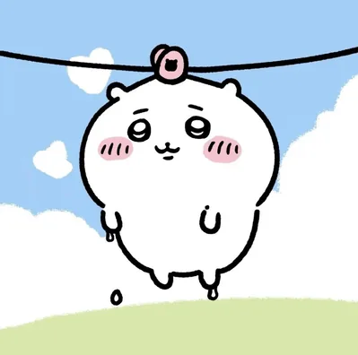 被曬衣夾夾在繩子上晾乾的淚眼吉伊卡哇PFP