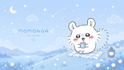 별이 빛나는 밤하늘 아래 차를 마시는 모몽가 데스크톱 배경화면