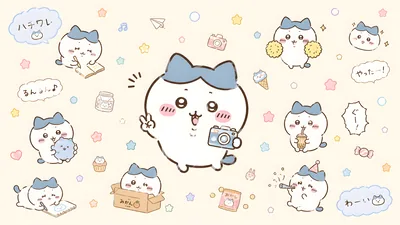 카메라를 들고 일상을 즐기는 귀여운 하치와레 데스크톱 고화질 배경화면