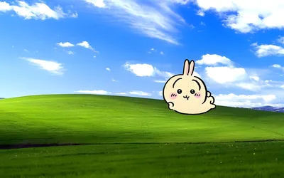 Cute Usagi lying on the green grass hill under blue sky for PC 4K Image