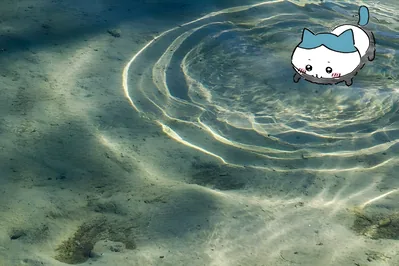 Hachiware swimming in crystal clear rippled water for PC Background