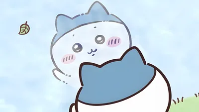 Cute Hachiware looking at his window reflection under blue sky for PC Wallpaper