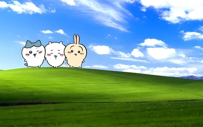 Hachiware, Chiikawa, Usagi holding hands on a green hill for PC 4K Image