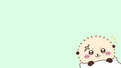 Cute Rakko peeking from the corner on mint green background for PC Wallpaper