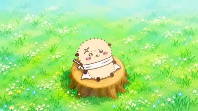 รักโกะ Rakko นั่งบนตอไม้ในทุ่งหญ้าดอกไม้สีเขียวสำหรับคอมพิวเตอร์ วอลเปเปอร์