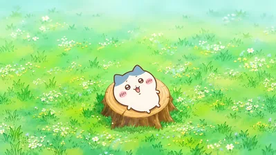 Cute Hachiware sitting on a tree stump in a green meadow for PC Background